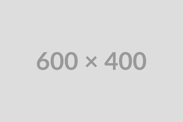 Automated E-commerce Checkout Flow Increases Sales by 300%